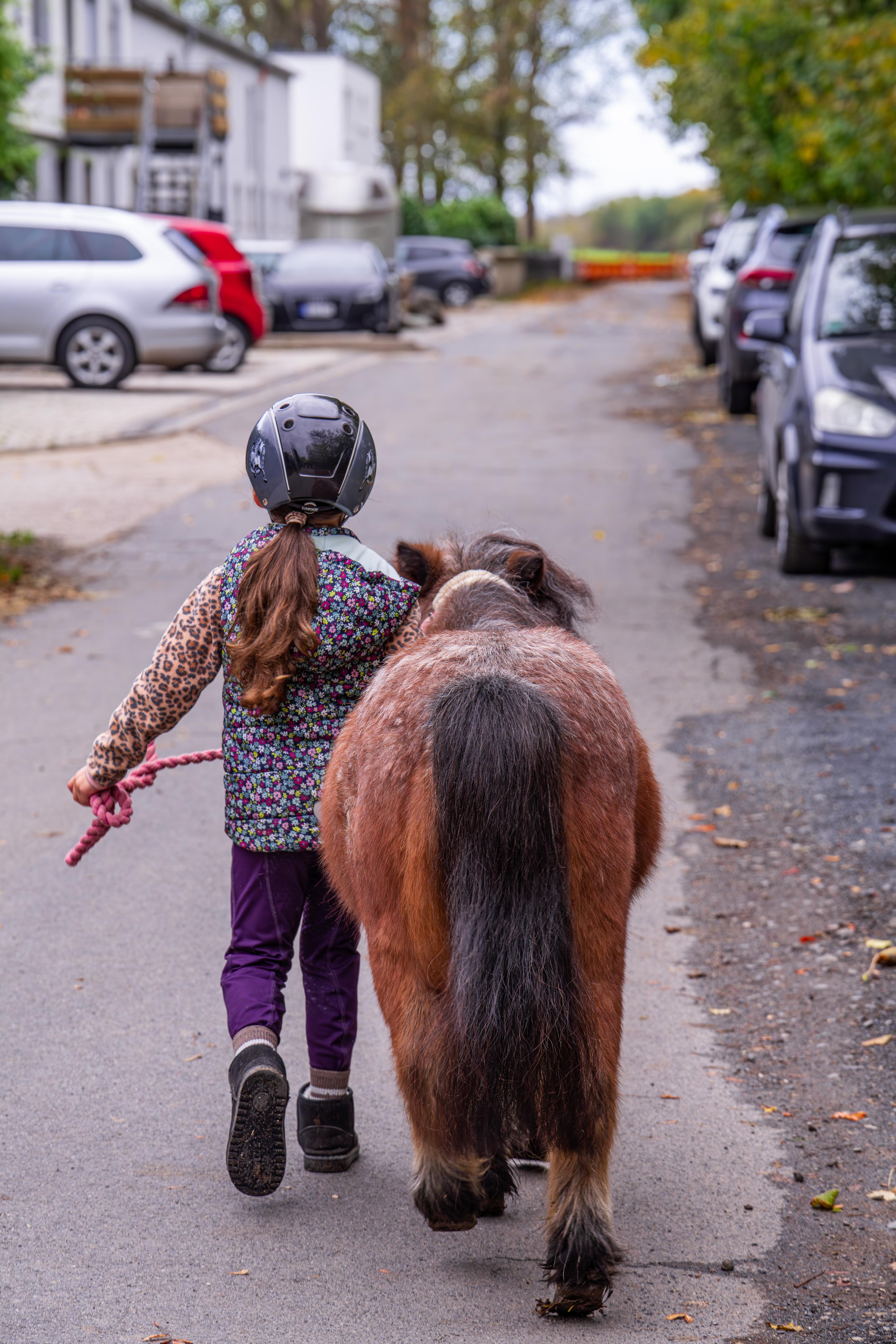 Sicherheit und Verantwortung